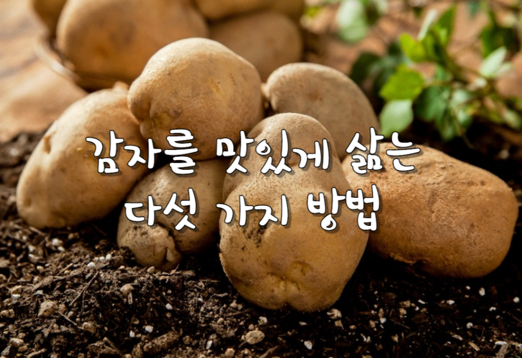 감자를 맛있게 삶는 다섯 가지 방법