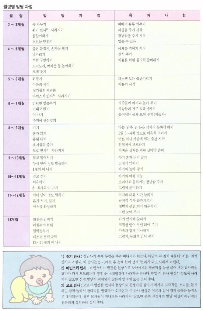 한눈에 보는 월령별 아기의 발달 과정과 육아 지침