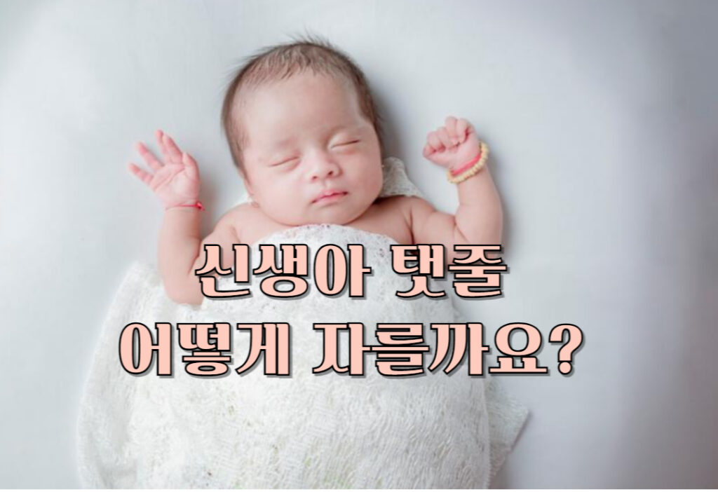 신생아의 탯줄 어떻게 자를까요?