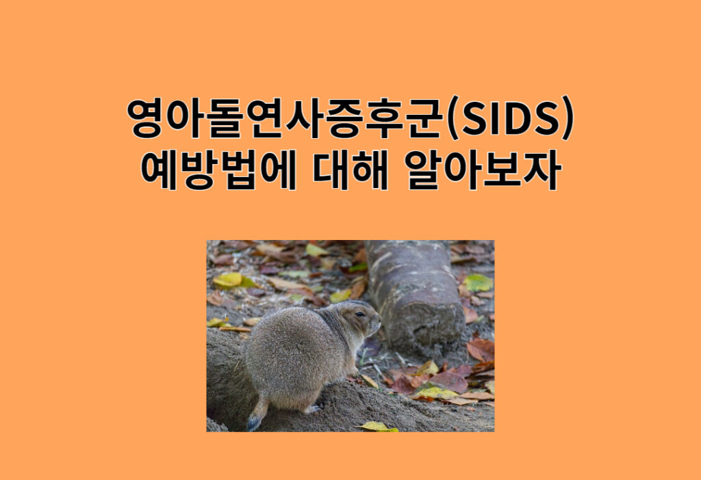 영아돌연사증후군(SIDS), 정말 예방할 수 있을까?