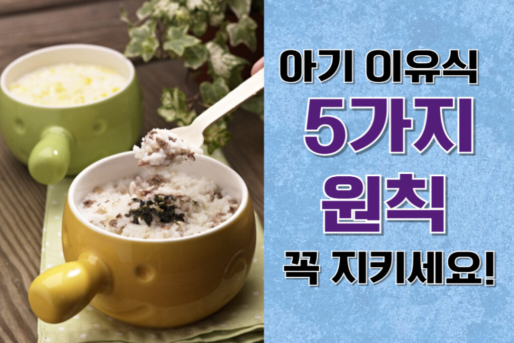 아기 이유식 시작, 5가지 원칙만 알면 끝!
