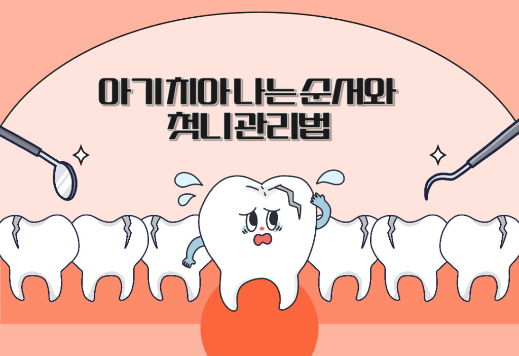 아기 치아 나는 순서와 첫니 관리법