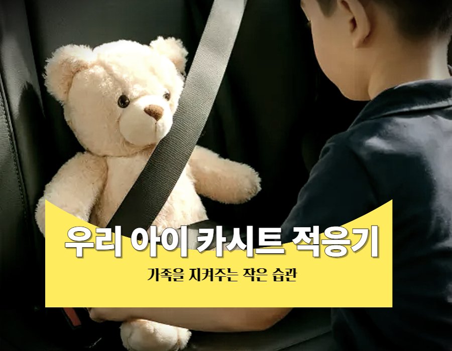 카시트 거부하는 우리 아이 카시트 적응기